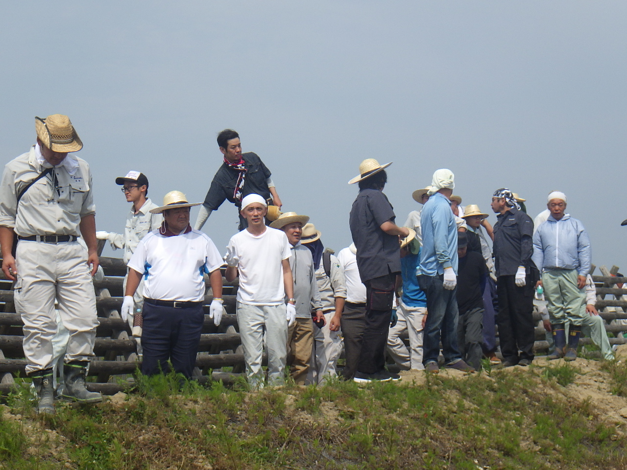 海岸林再生ﾌﾟﾛｼﾞｪｸﾄ2018